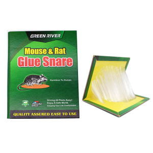 Sticky Mouse Board